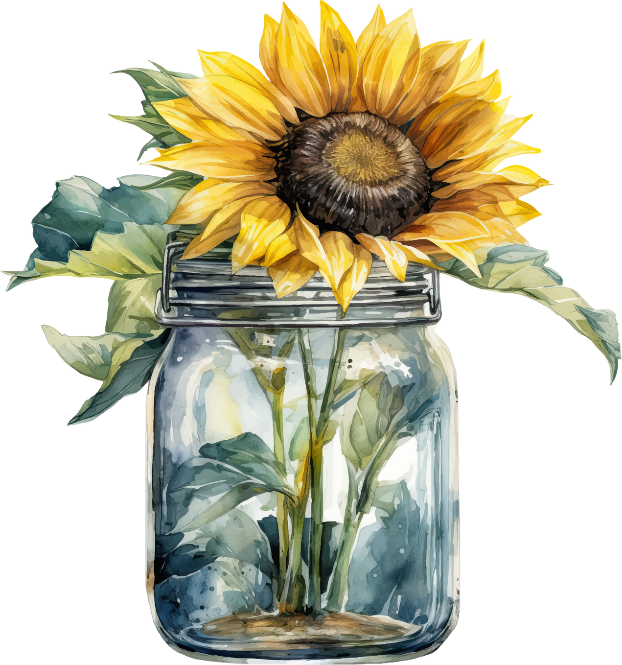 sunflower-illustration